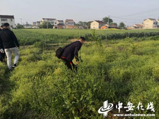 宁国房产租赁资讯速递