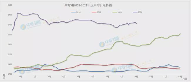 2024年小麦市场最新行情速览