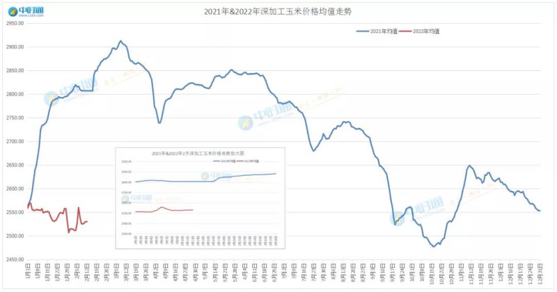 玉米市场动态及价格趋势分析