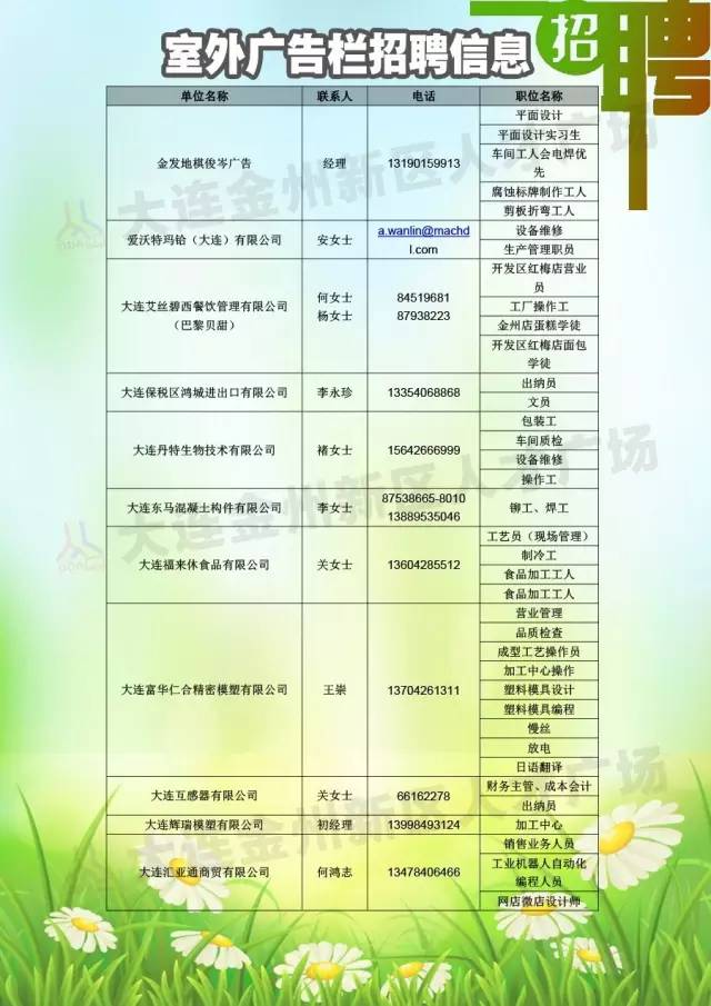 金州人才市场招聘信息速递：最新职位汇总大放送