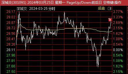 全新互助模式，权威认证的正规盘口解析指南