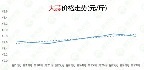 今日热议：大蒜行情聚焦——最新论坛热点解析